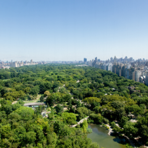 Best Properties with Central Park Views