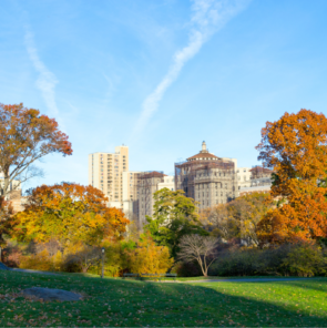 The Best Parks in the Concrete Jungle